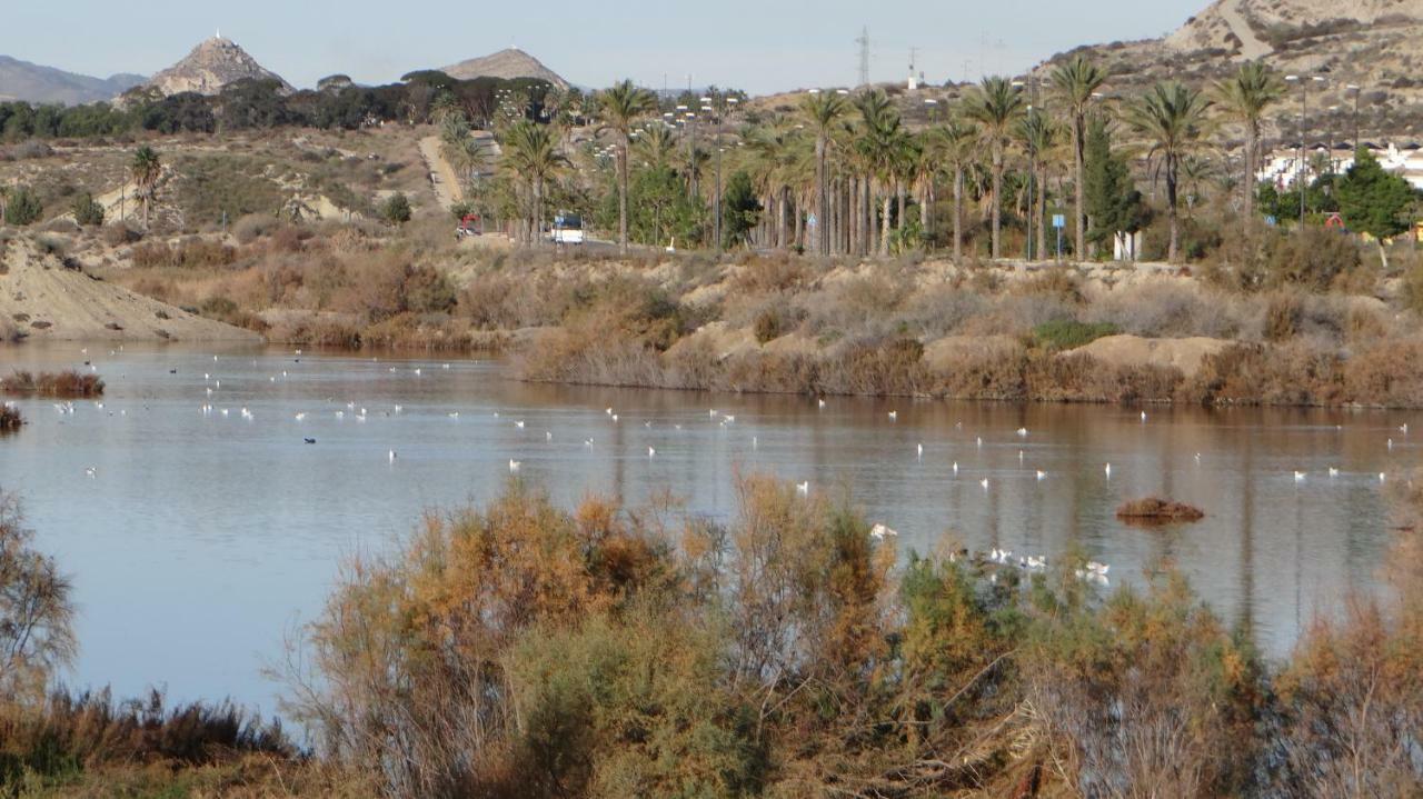 Vera Rental Torremar Natura Екстериор снимка